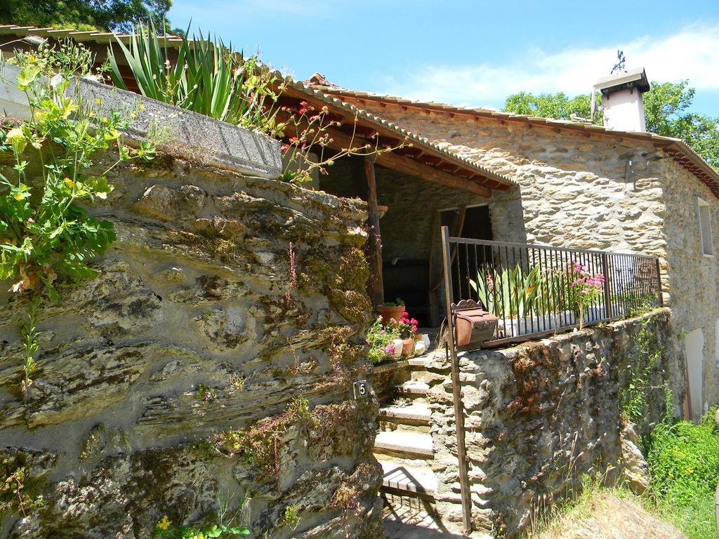 Vila Casa Da Zeza Negreda Exteriér fotografie
